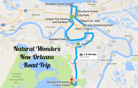 This Natural Wonders Road Trip Will Show You New Orleans Like You’ve Never Seen It Before