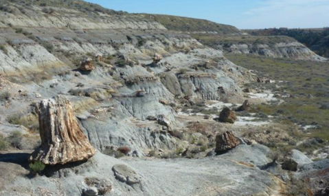 One Of The Oddest Geological Wonders Is Located Right Here In North Dakota