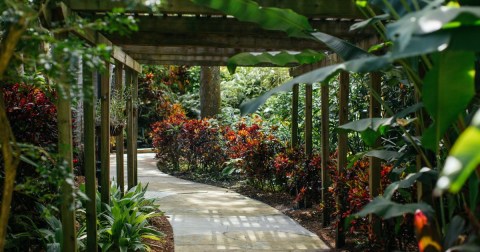 The Secret Garden In Florida You’re Guaranteed To Love