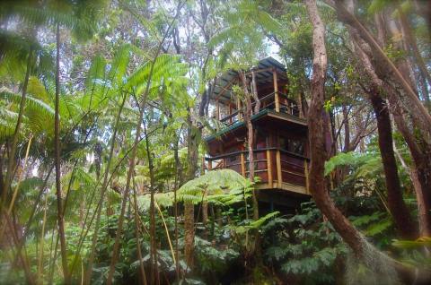 Spend The Night In This Canopy Treehouse In Hawaii For An Unforgettable Experience