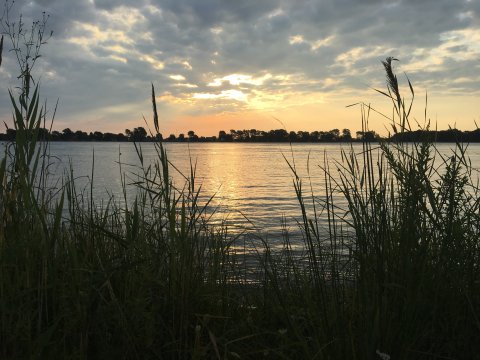 Immerse Yourself In Nature At Michigan's Most Underrated State Park