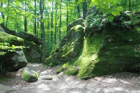 One Of The Oddest Geological Wonders Is Located Right Here In New York