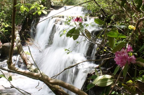 The One Park In Alabama That Is An Outdoorsman's Paradise