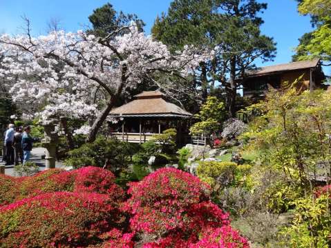 The Secret Garden In San Francisco You’re Guaranteed To Love