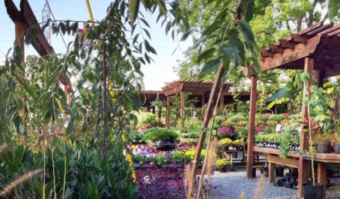 The Secret Garden In Nashville You’re Guaranteed To Love