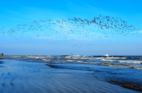 6 Under-Appreciated State Parks Near New Orleans You're Sure To Love