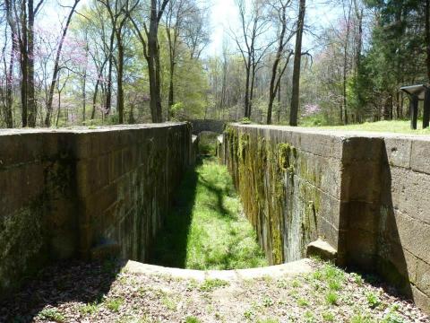 These 7 Trails In South Carolina Will Lead You To Extraordinary Ancient Ruins