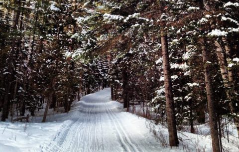 There's No Other Hike In The World Quite Like This One In Minnesota