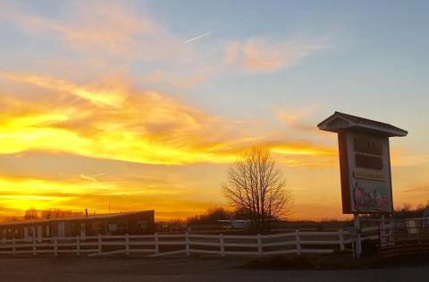 There’s A Bakery On This Beautiful Farm Near Washington DC And You Have To Visit