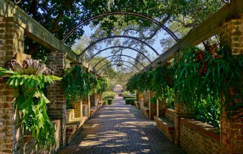 The Place In New Orleans That Makes You Feel Like You've Stepped Through A Magical Wardrobe