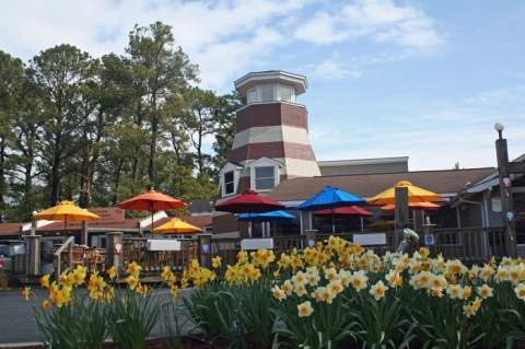 The Tiny Shop In Virginia That Serves Homemade Ice Cream To Die For