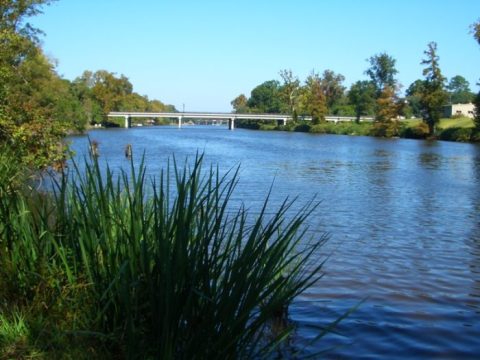 The Pristine Lake In Louisiana That's Devastatingly Gorgeous