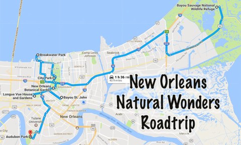 This Natural Wonders Road Trip Will Show You New Orleans Like You’ve Never Seen It Before