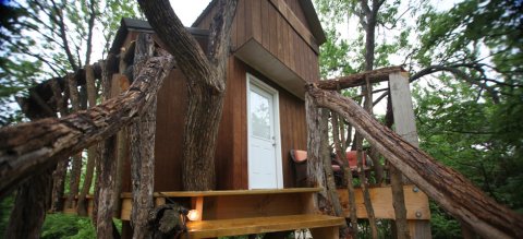 Sleep Underneath The Forest Canopy At This Epic Treehouse In Kansas