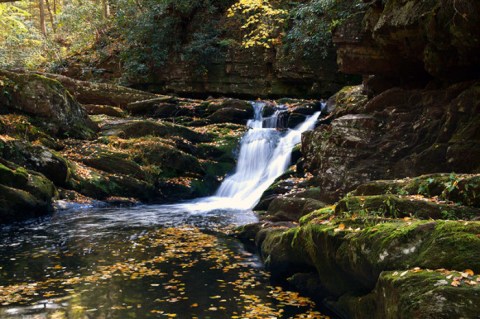 12 Easy Hikes To Add To Your Outdoor Bucket List In New Jersey