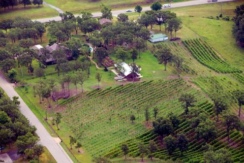 The Remote Winery In Kansas That's Picture Perfect For A Day Trip