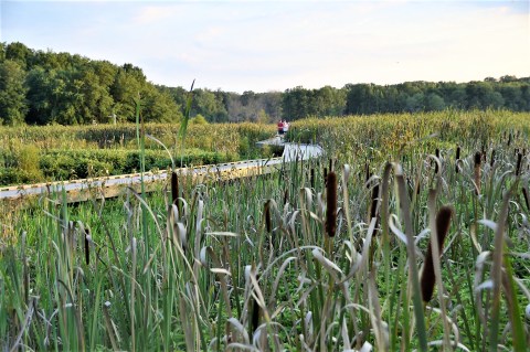 12 Amazing Natural Wonders Hiding In Plain Sight Around Washington DC — No Hiking Required