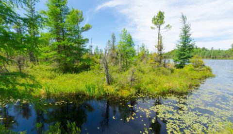 The Sapphire Lake In Wisconsin That's Devastatingly Gorgeous