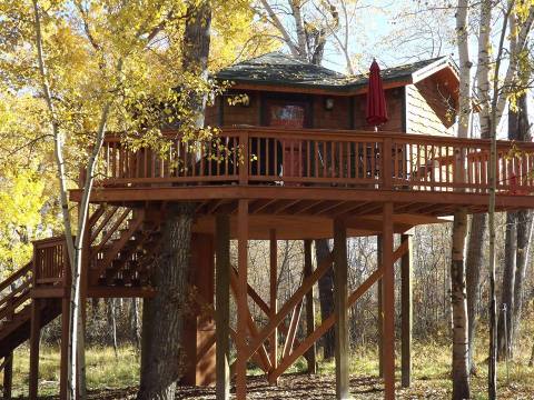 Sleep Underneath The Forest Canopy At These Epic Treehouses In Montana