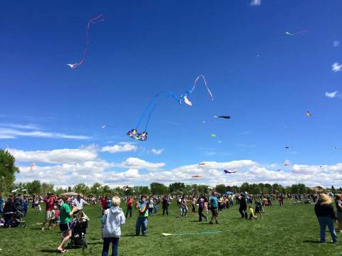 This Incredible Kite Festival In Colorado Is A Must-See