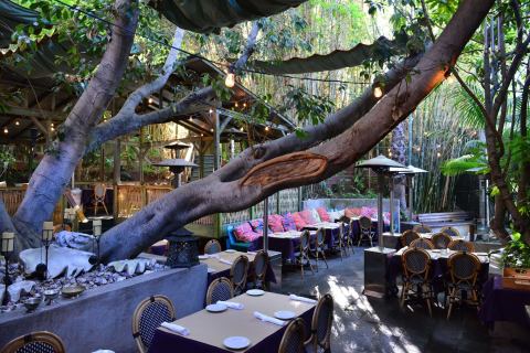 A Treehouse Restaurant In Southern California, Cliff's Edge, Is Downright Enchanting