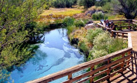 10 Wildlife Sanctuaries In Nevada Most People Don't Even Know Exist