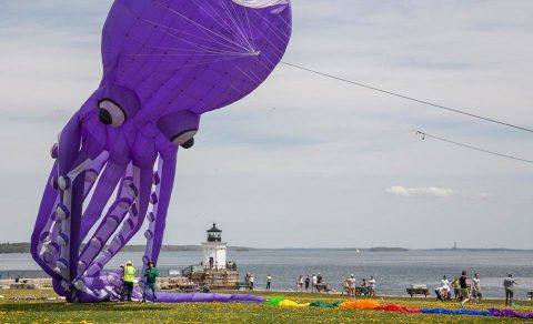 This Incredible Kite Festival In Maine Is A Must-See