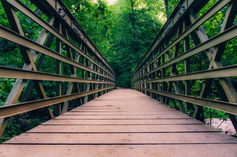 A Hiking Trail Hiding In Georgia, The East Palisades Are A Wonderful Adventure