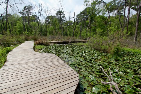 Stay Away From The Most Haunted Bridge In Texas Unless You Want Nightmares