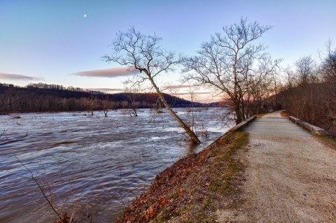 The 9 Most Beautiful Bike Trails You Can Take In Washington DC