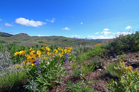 The 14 Places You Absolutely Must Visit In Idaho This Spring