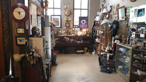 The Crazy One-Of-A-Kind Shop You'll Only Find In Alabama