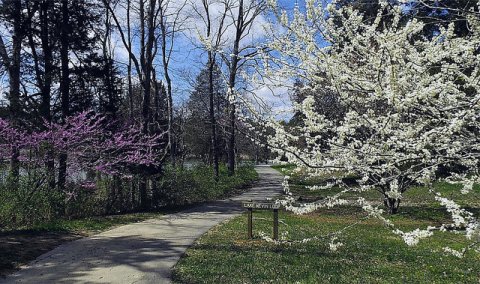 The 10 Places You Absolutely Must Visit In Kentucky This Spring