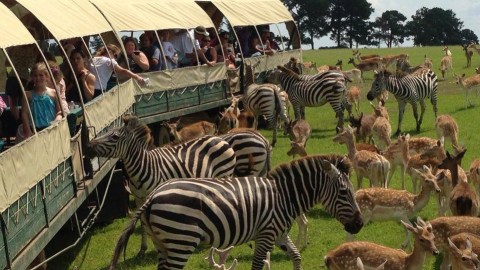 Not Many Know About This Exotic Animal Sanctuary Near New Orleans