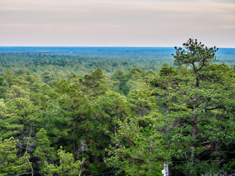 You Haven't Lived Until You've Experienced This One Incredible Park In New Jersey