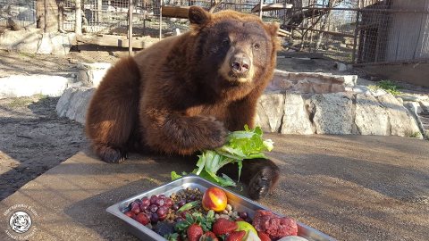 Not Many People Know About This Exotic Animal Sanctuary Right Here In Texas