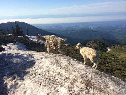 This Unique Trail Shows Off Washington Like You've Never Seen It Before