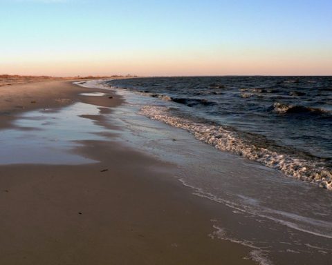 7 Little Known Beaches in Delaware That Are Ideal For Summer Relaxation