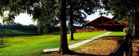 The Remote Winery In Louisiana That's Picture Perfect For A Day Trip