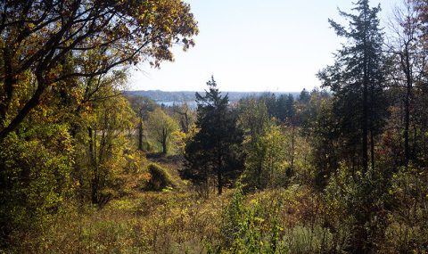 The Outdoor Discovery Park In New Jersey That’s Perfect For A Family Day Trip