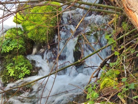 Everyone in Northern California Must Visit This Epic Natural Spring As Soon As Possible