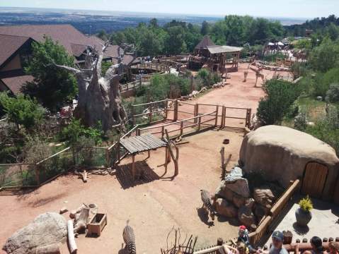 This Colorado Zoo Was Named Among The Best In The Nation And You'll Want To Visit