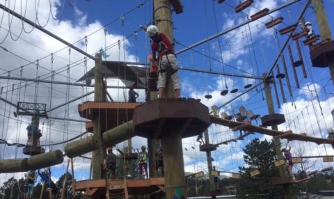 The Epic Canopy Course In Colorado That Will Bring Out The Adventurer In You