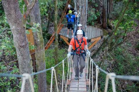 The Stomach-Dropping Canopy Walk You Can Only Find In Northern California