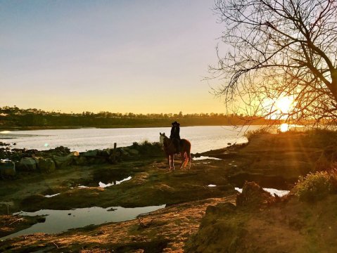 The Natural Oasis Hiding in Southern California That Everyone Should Visit At Least Once