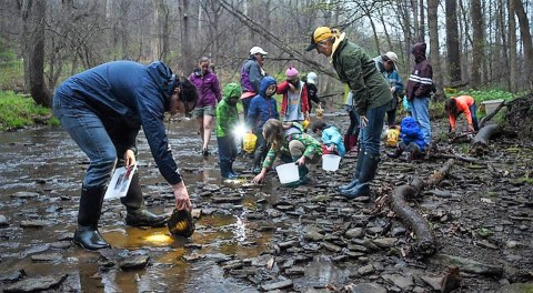 The Outdoor Discovery Park In Pittsburgh That’s Perfect For A Family Day Trip