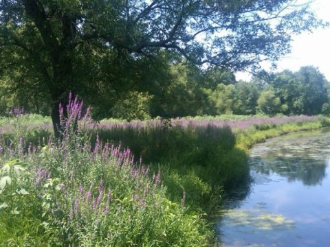 This Is The Newest State Park In New Jersey And It's Incredible