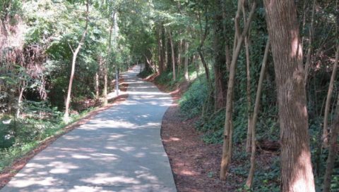 8 Easy And Beautiful Bike Trails In South Carolina Everyone Will Love