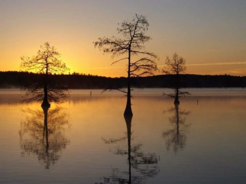 This Might Just Be The Most Beautiful Campground In All Of Louisiana