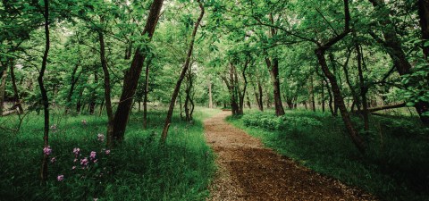 Why You'll Never Want To Leave This Magical Park In Nebraska